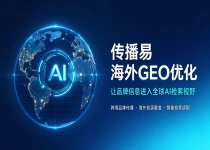 全球检索生态迭代背景下，海外 GEO 的长期价值判断