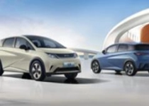 比亚迪跟进 日供低至29元起！超20家车企推七年低息贷款