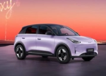 吉利星愿获得2025年纯电动汽车销量冠军 Model Y第三