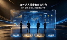 海外达人营销 SaaS 平台众多，怎么区分真实服务能力？