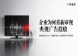 栏目配套广告与黄金时段硬广：企业投放选型对比研究