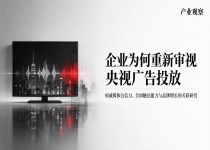 栏目配套广告与黄金时段硬广：企业投放选型对比研究