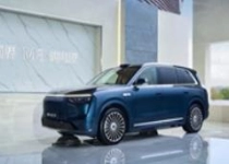 中国新能源汽车NPS净推荐榜：问界品牌、车型均第一